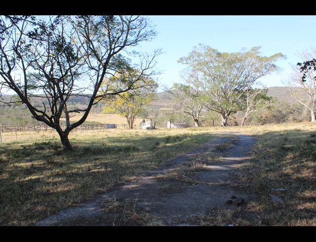 1,058HA FARM FOR SALE IN KOMGA